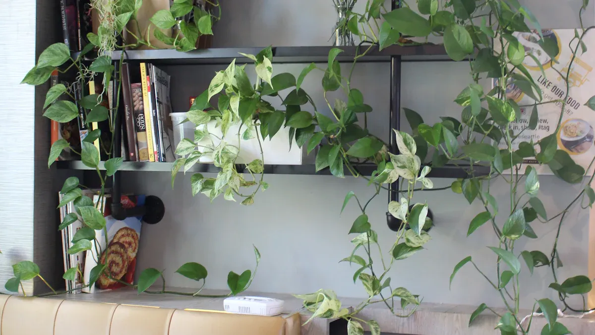 Locate Your Feng Shui Money Corner