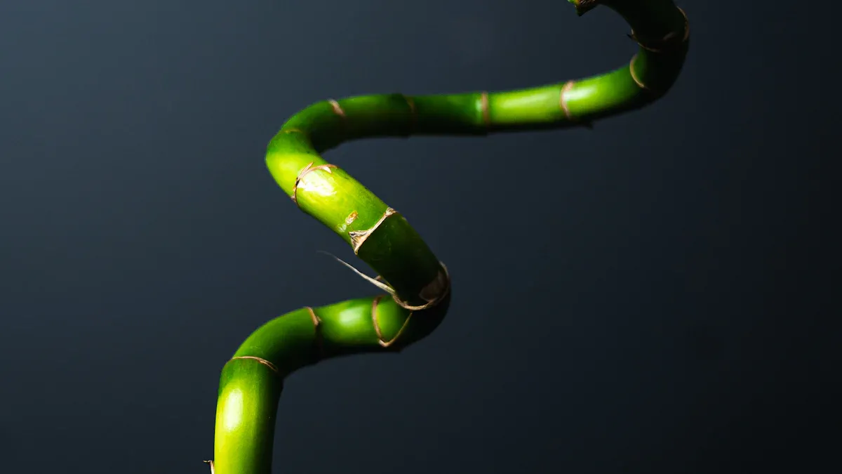 What Is the Symbolism of Lucky Bamboo in Feng Shui