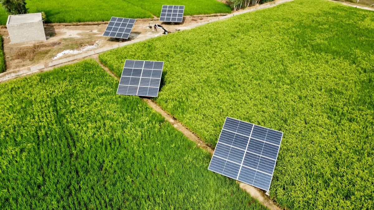 Energy Efficiency and Cost Savings