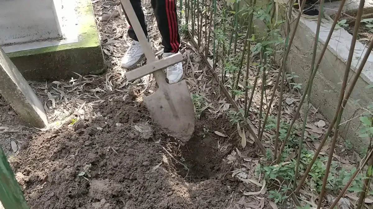 Install Fence Posts