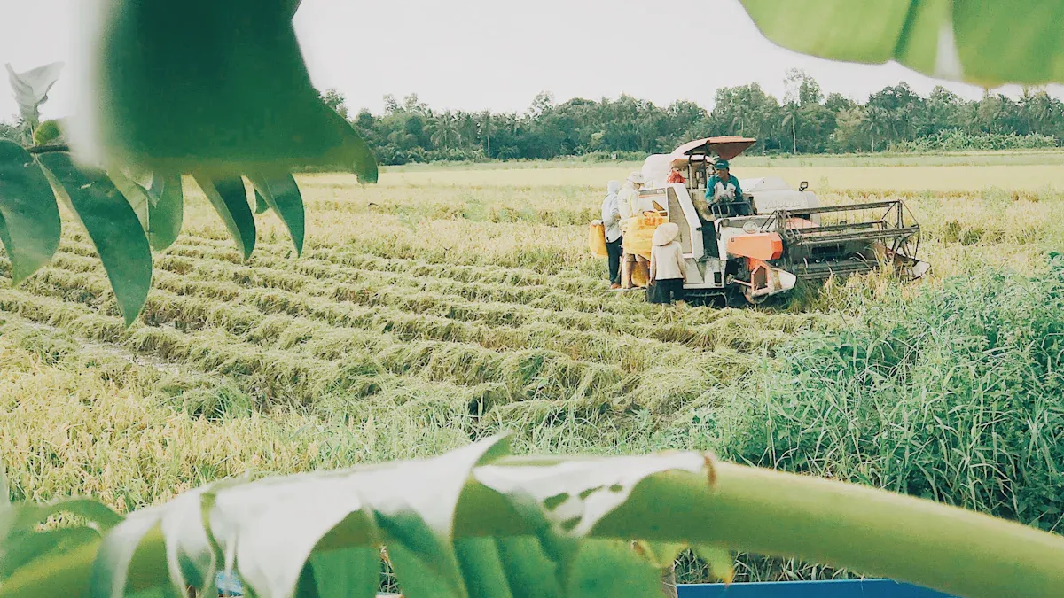 Components of Rice Milling Machines