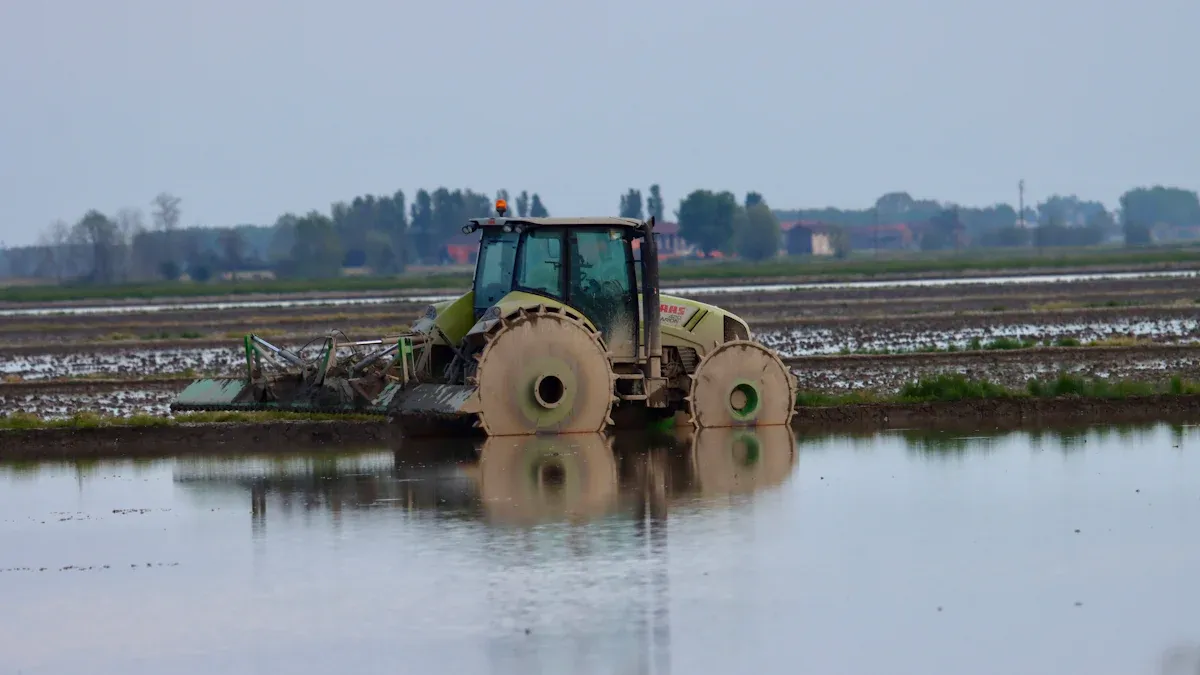 Rice Processing Plant: Key Machines
