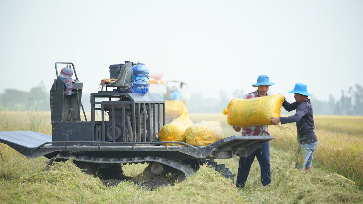 Rice Transplanter Overview