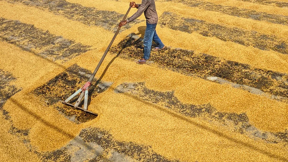 Types of Rice Polisher