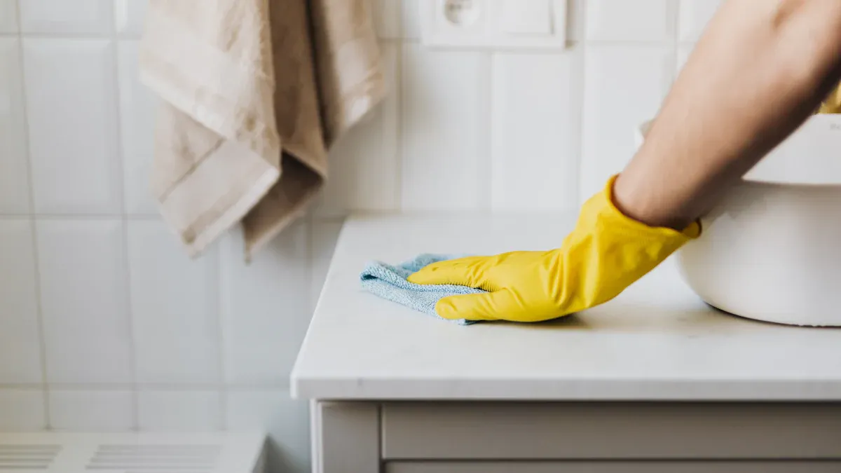 Tips to Clean Urine in House