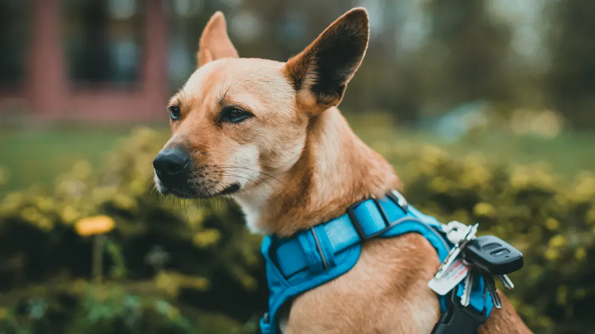 Dog lift harness with wide padded support panels