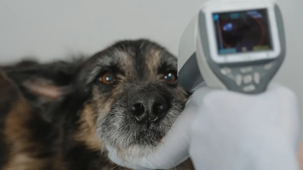 Front leg anti lick sleeve with extended coverage margin beyond incision edge