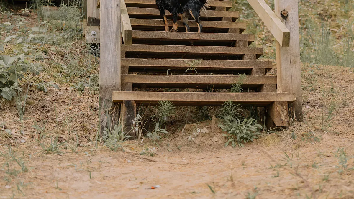 Handler using both front and rear support on a dog approaching stairs