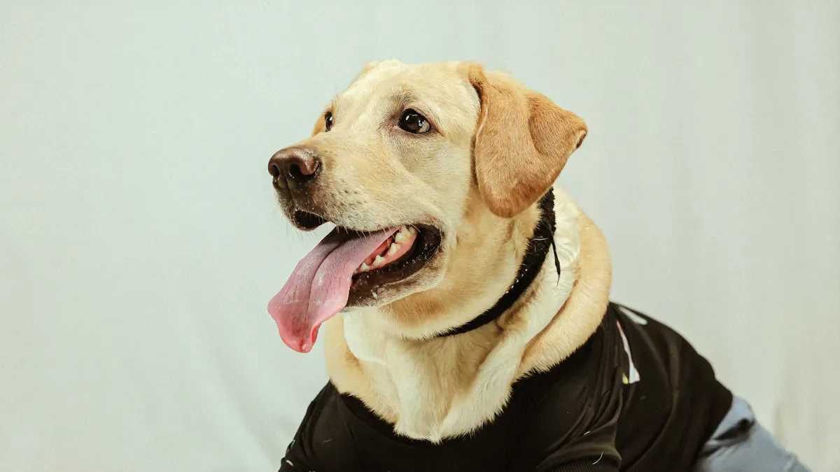 Dog knee brace with upper thigh strap and hinge panel aligned to stifle joint