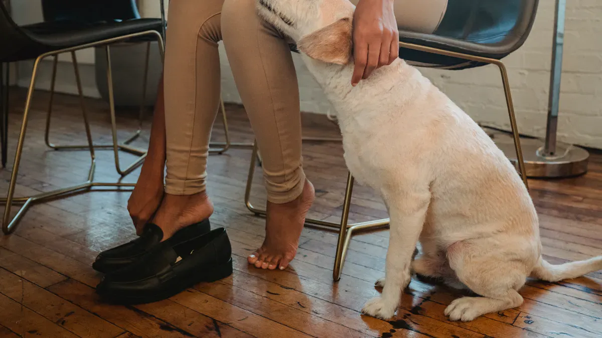 dog wearing leg sleeve during daily activity
