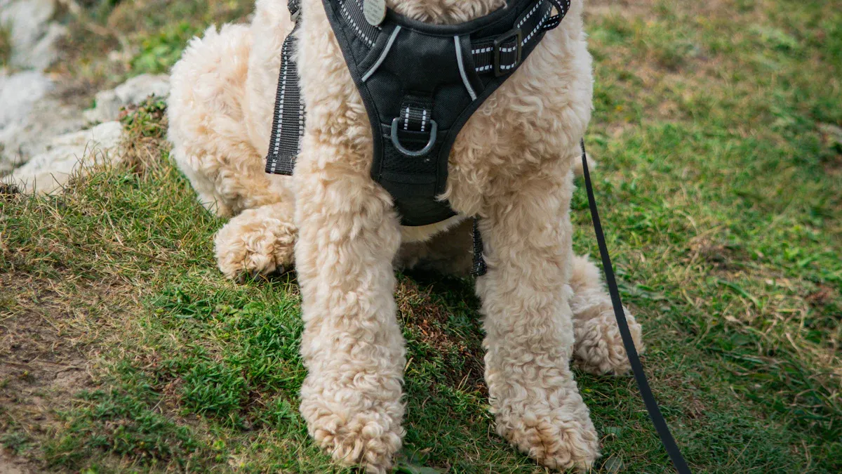 Dog support harness showing chest support and handle placement