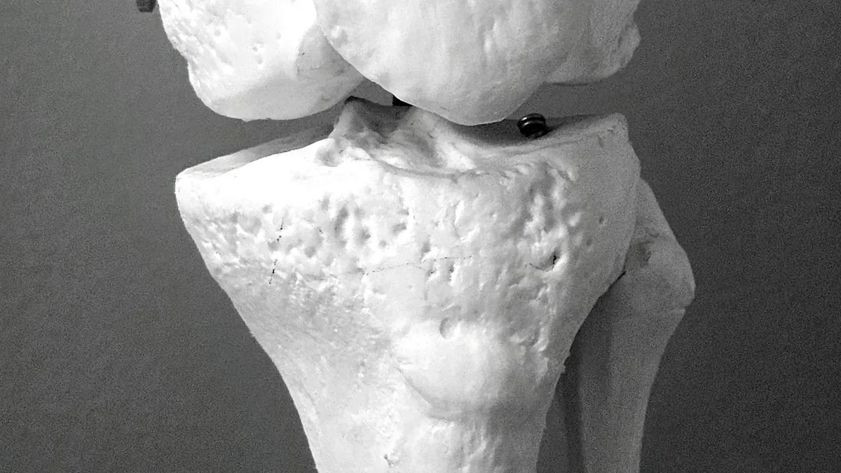 Hip dysplasia support brace with wide wrap and front anchor design