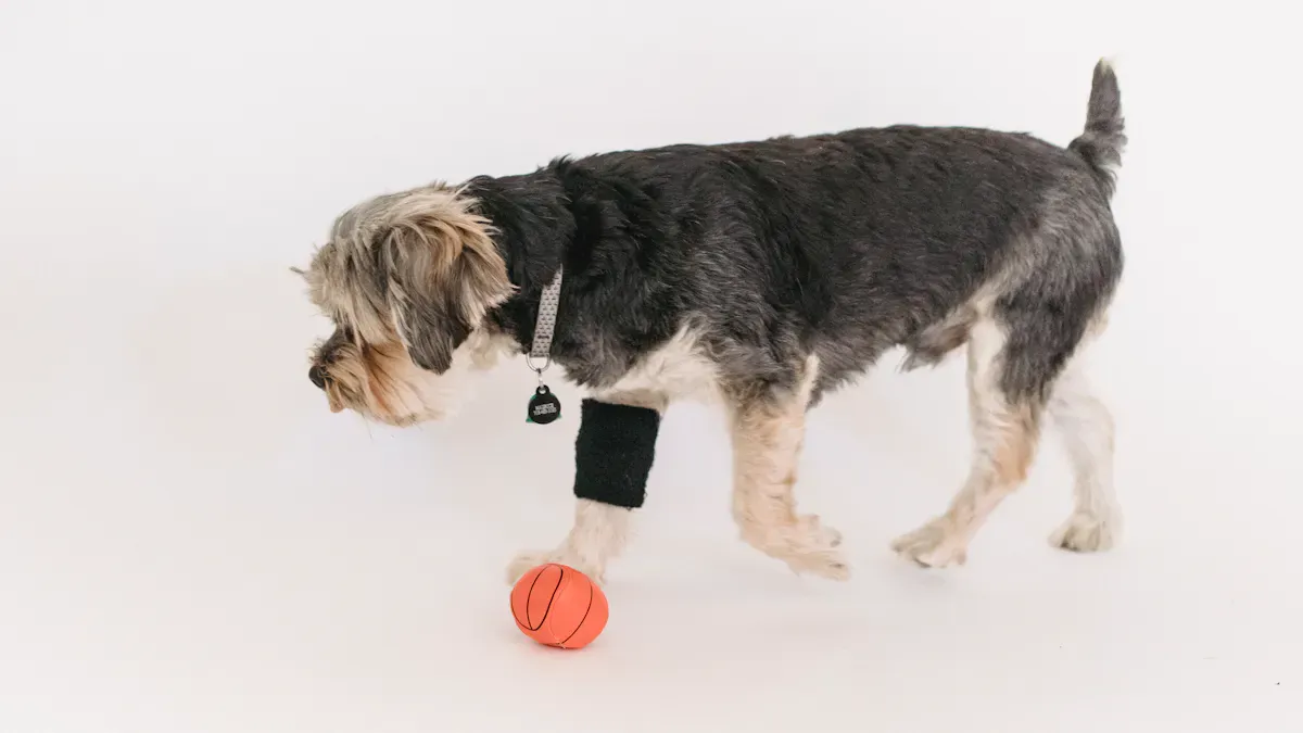 Close-up of a dog knee brace showing upper shell edge and strap configuration