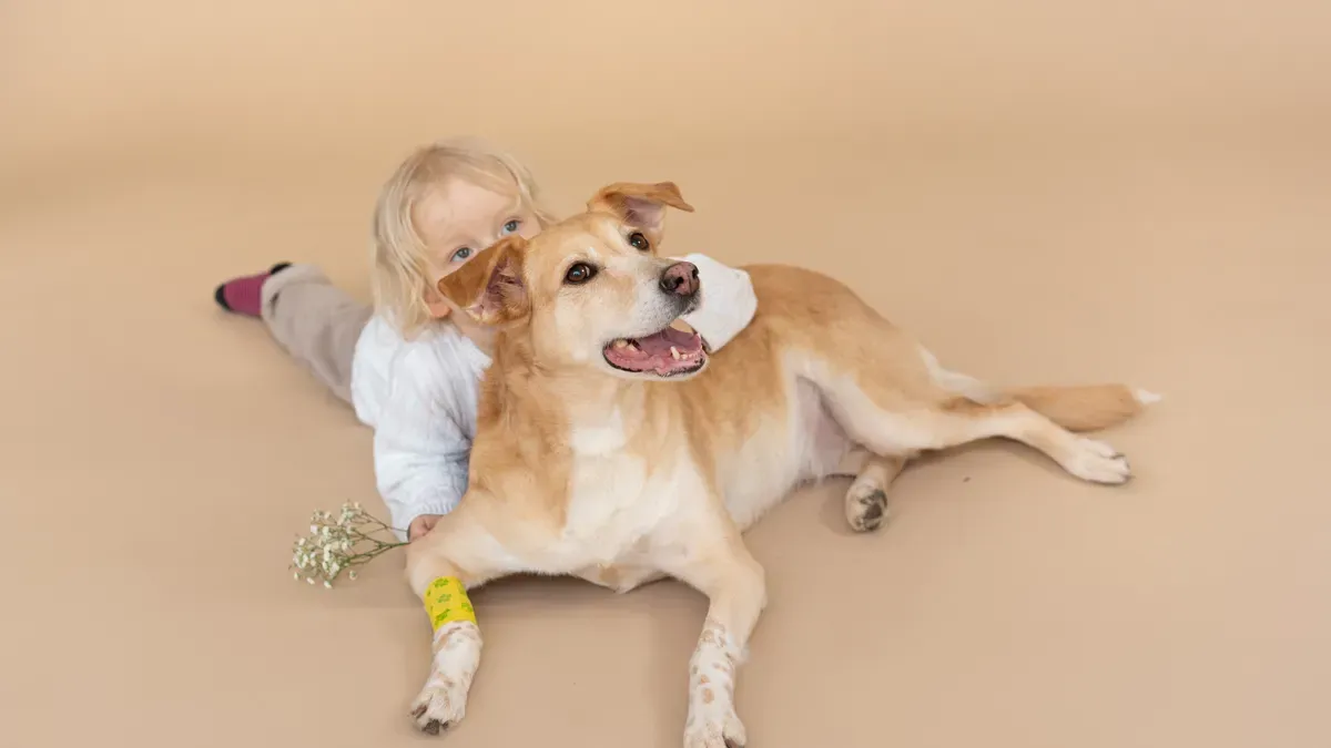 Dog leg with targeted recovery sleeve providing secure wound coverage