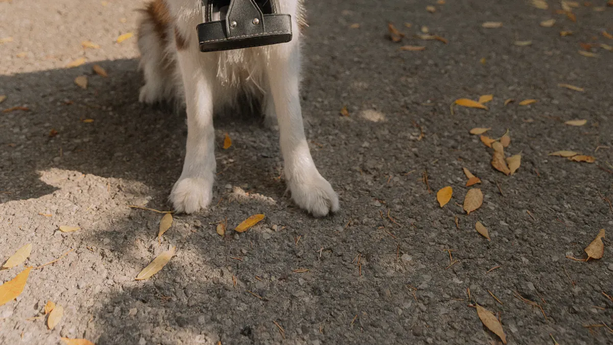 Close-up of small dog carpal brace showing strap configuration and padded edge finishing