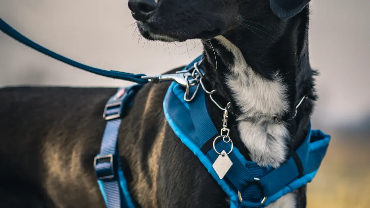 Adjustment points and strap layout on a full-body dog mobility harness