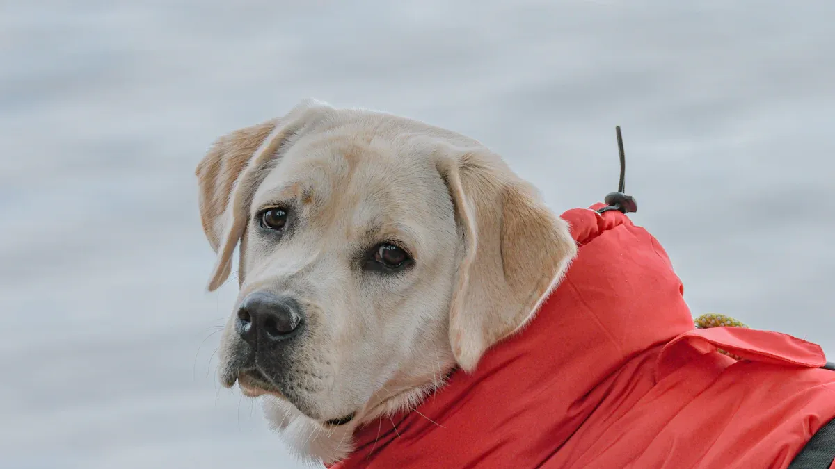 Close-up of dog knee brace structural components including hinges and straps