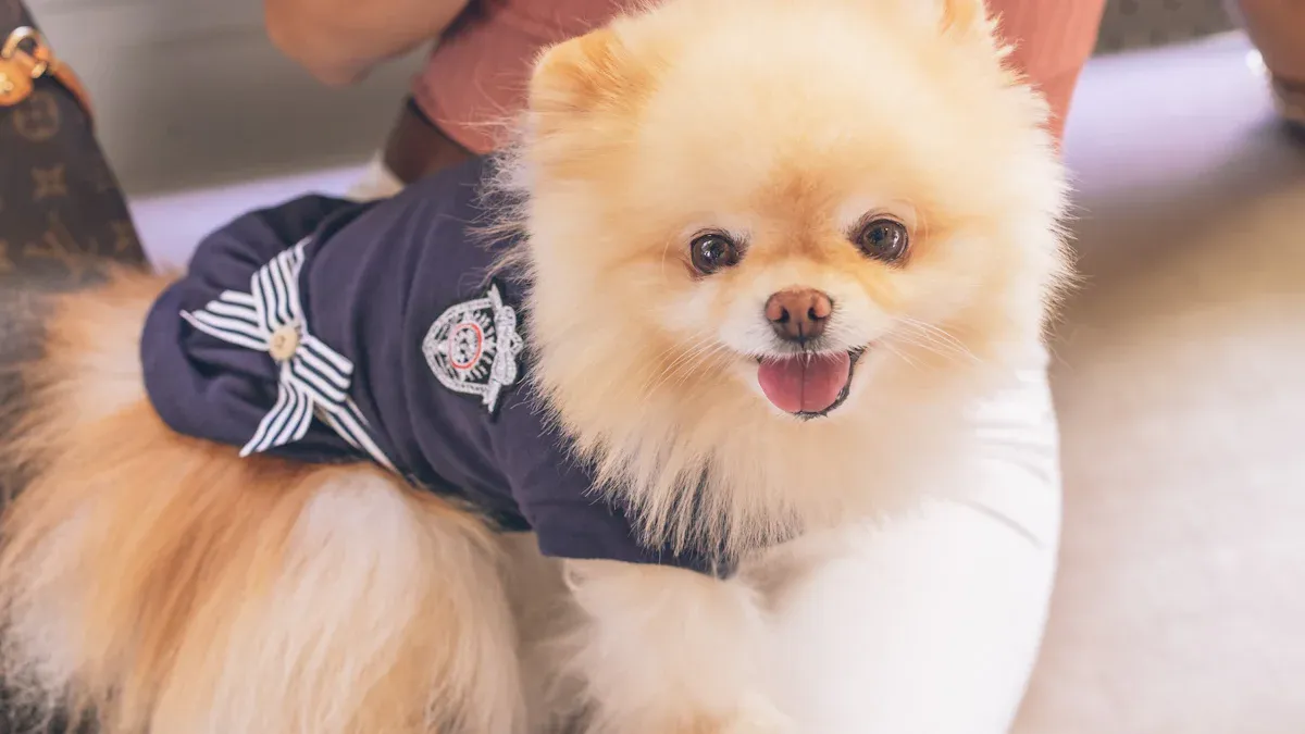 Dog resting with protective elbow cover on soft surface