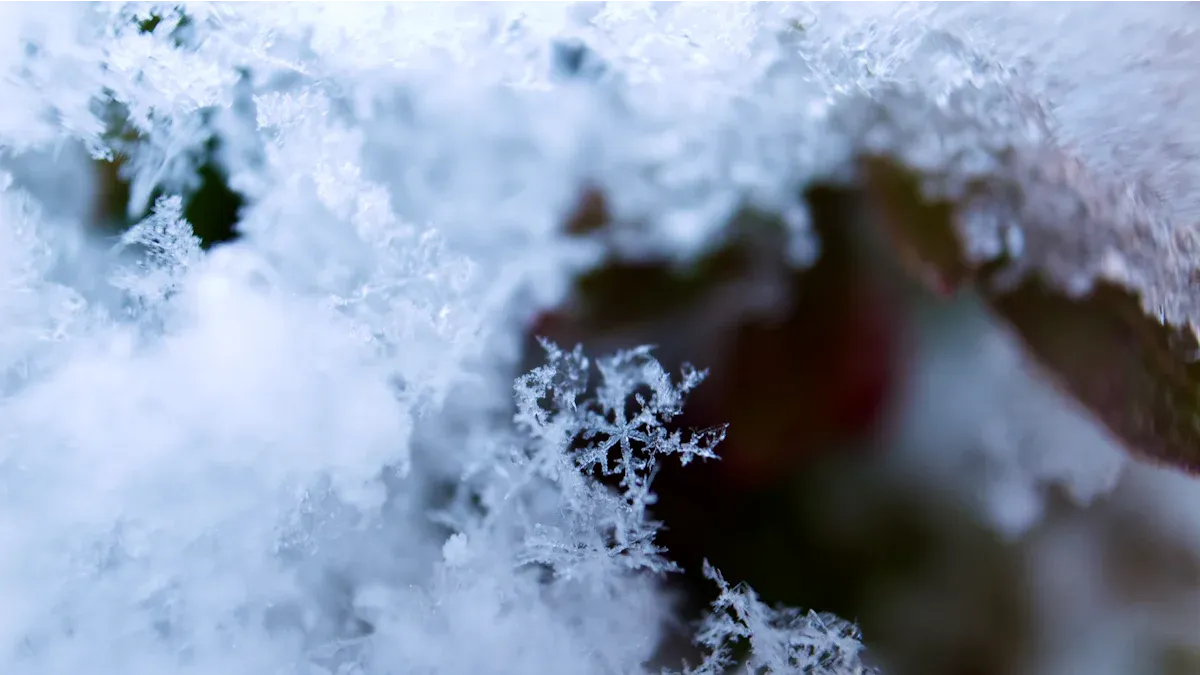 Flake vs Nugget: Comparison