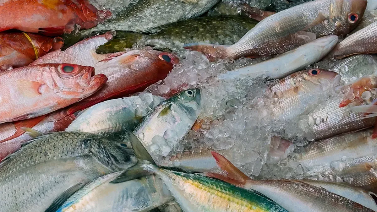 وتطبيقات الصناعة مع ICESTA