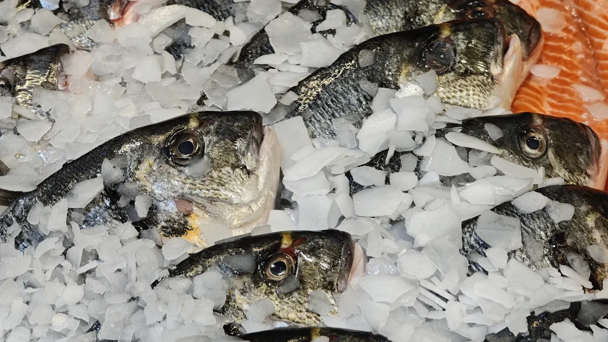 Key benefits of flake ice in seafood preservation