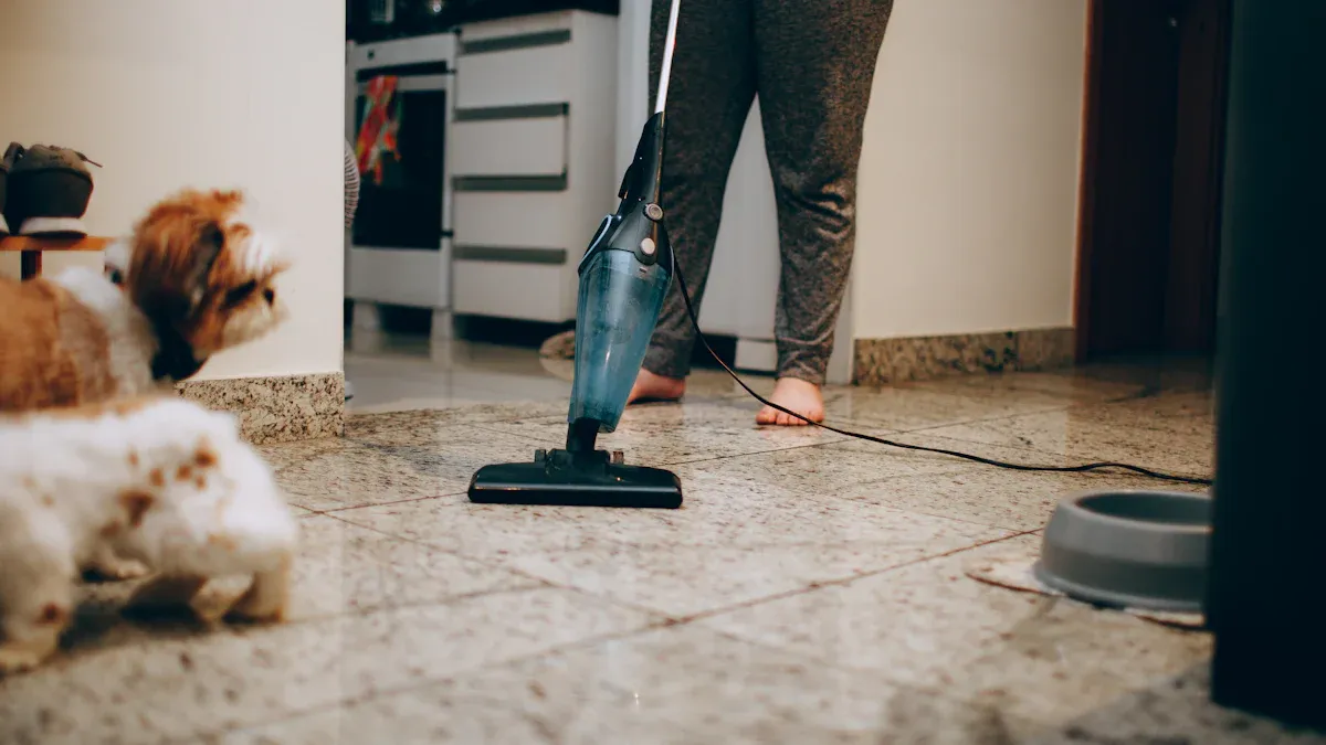 Tips to Clean Urine in House