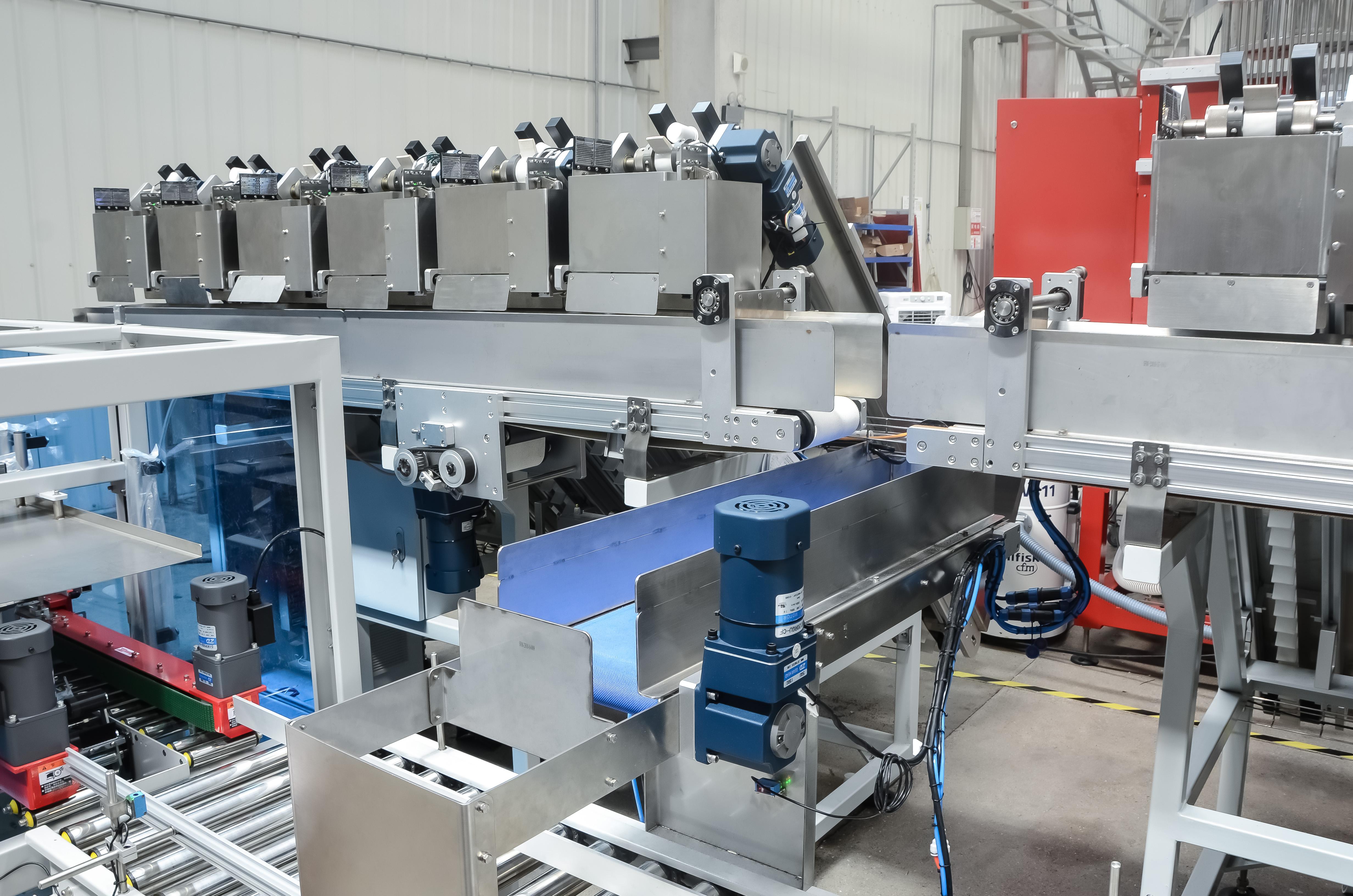 Seamless Integration with Carton Packing Line