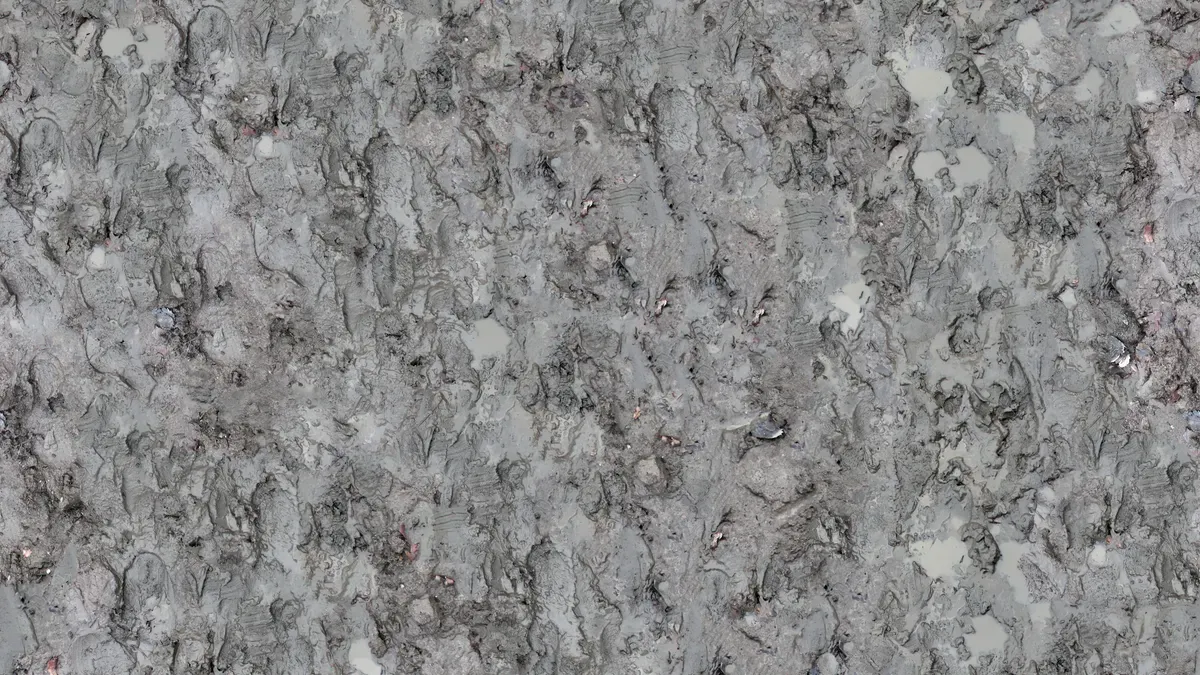 Metallurgical Mechanisms and Microstructure