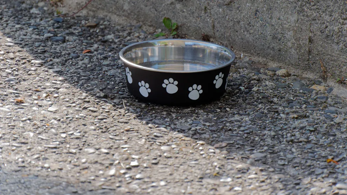 Best Cat Water Bowl Comparison