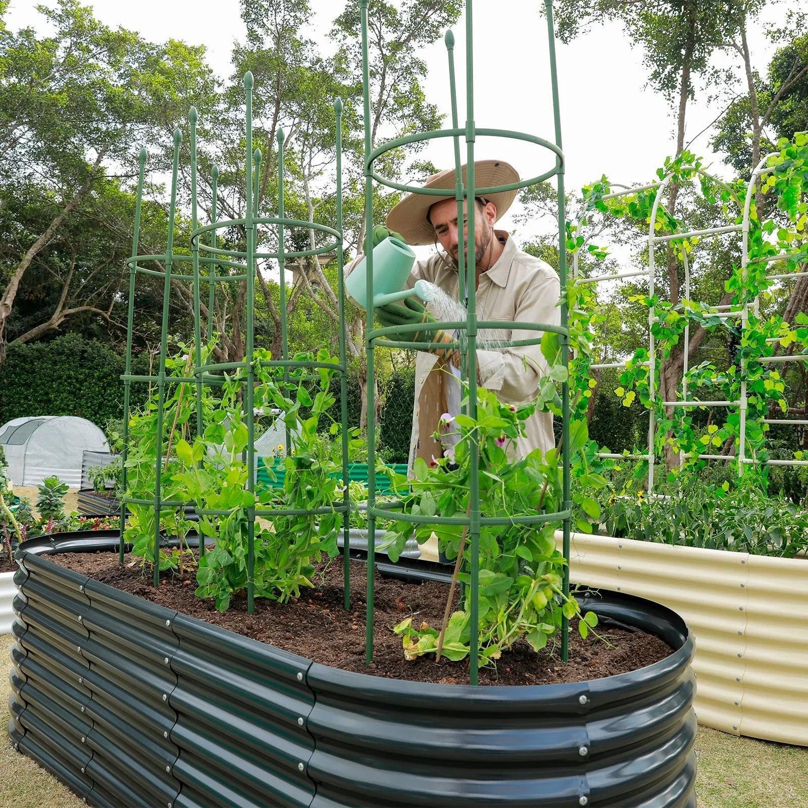Man in hat watering plants in circular corrugated metal raised garden bed with tomato cages and plant supports