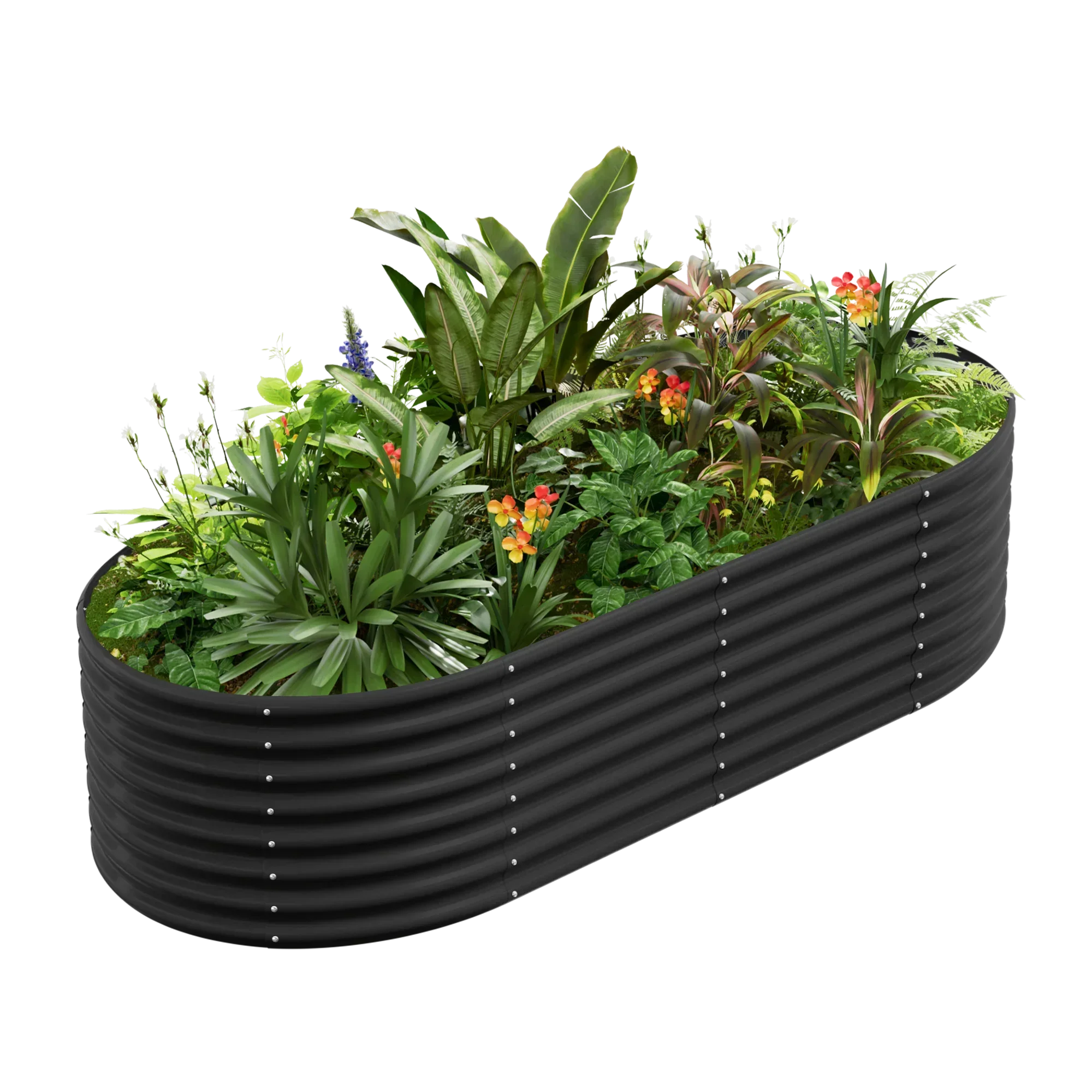 Black oval corrugated metal raised garden bed filled with diverse tropical plants and flowers.