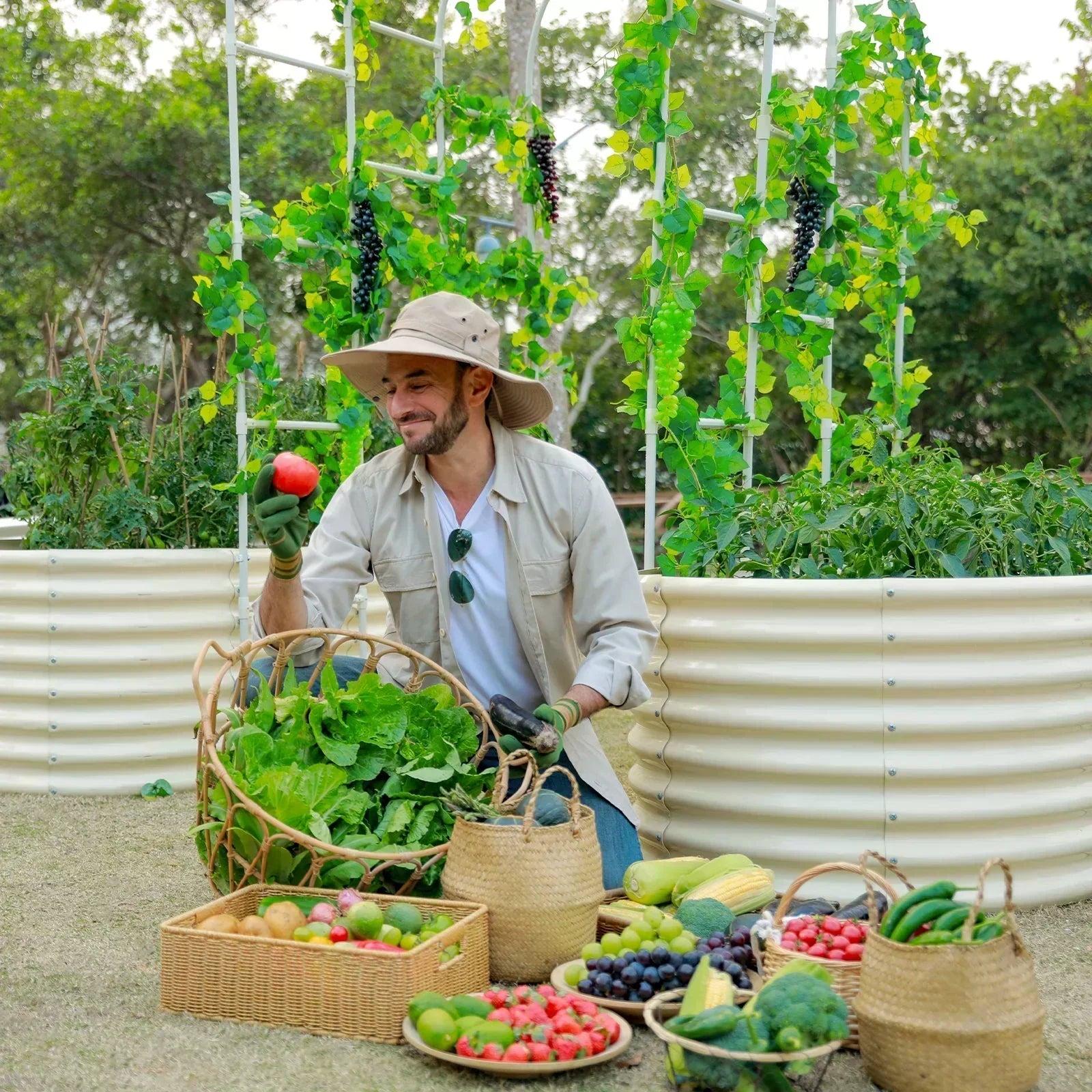 Smiling gardener in hat displaying fresh harvest of vegetables and fruits in baskets beside corrugated metal raised garden beds with grape vines