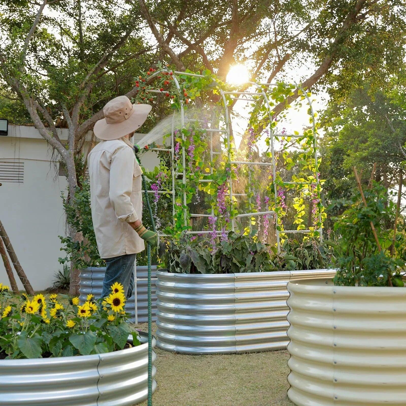 Gardener watering a vine-covered arch trellis in a silver corrugated metal raised bed at sunset, with sunflowers in the foreground.
