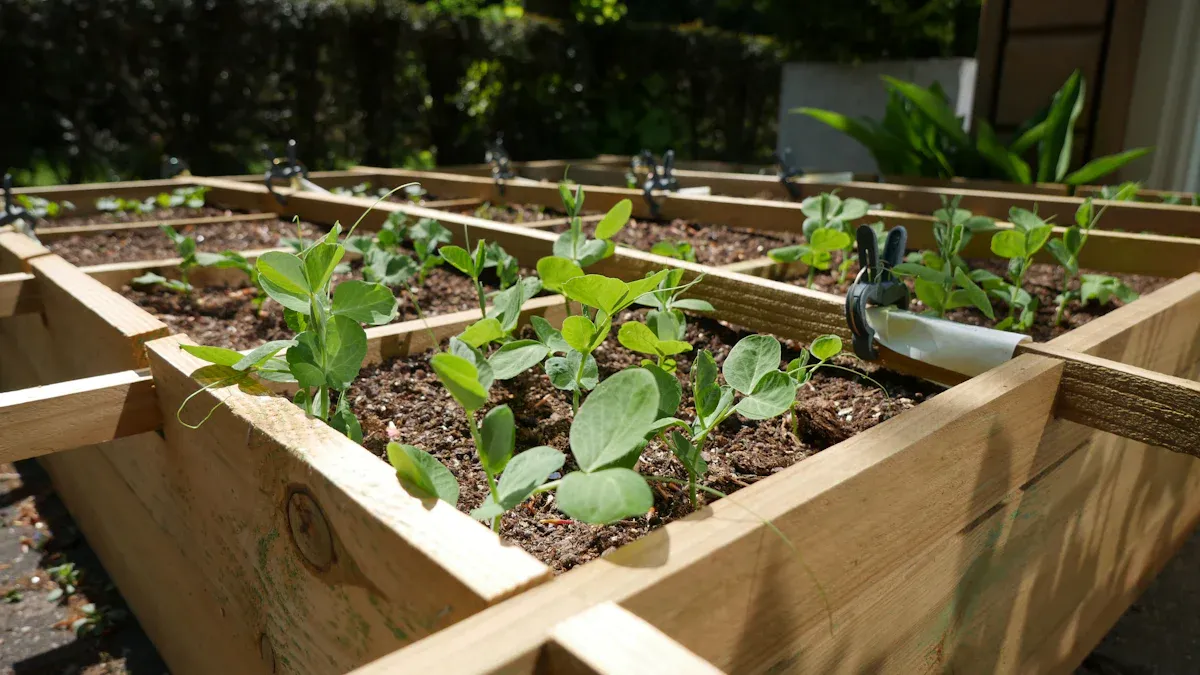 Raised Garden Bed Comparison