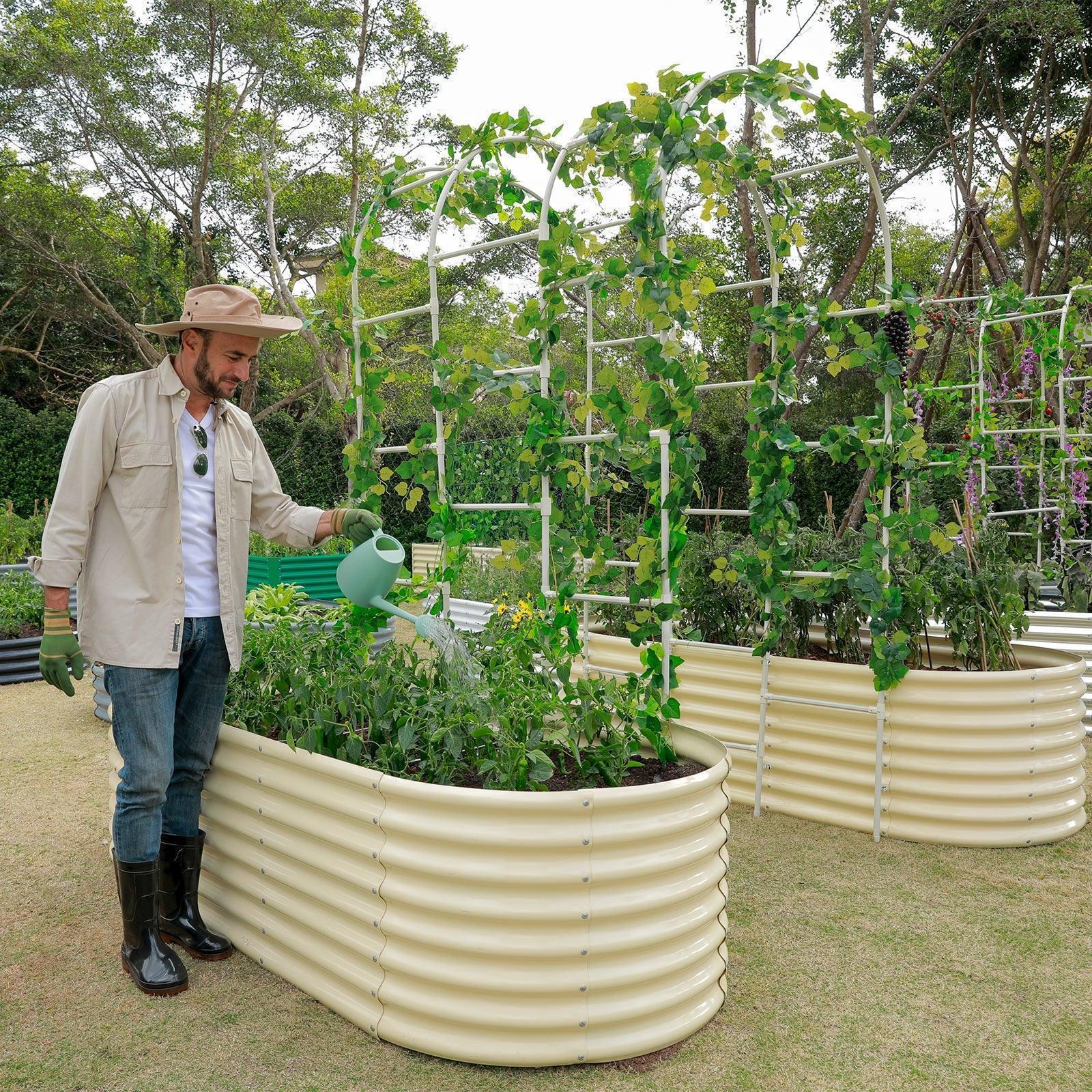 Man in a hat watering plants in a U-shaped, cream-colored corrugated metal raised garden bed with a vine-covered arch trellis.