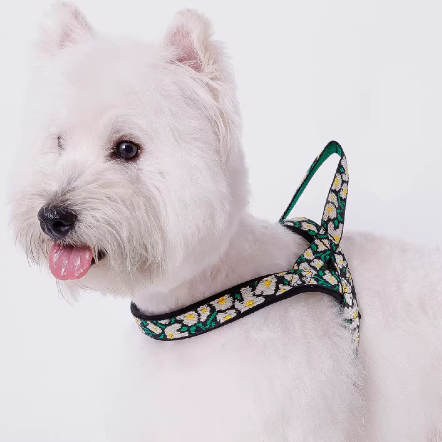 Top Flower Dog Collar and Leash Sets