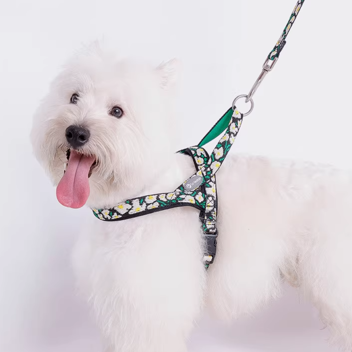 Benefits of Flower Dog Collar and Leash Sets