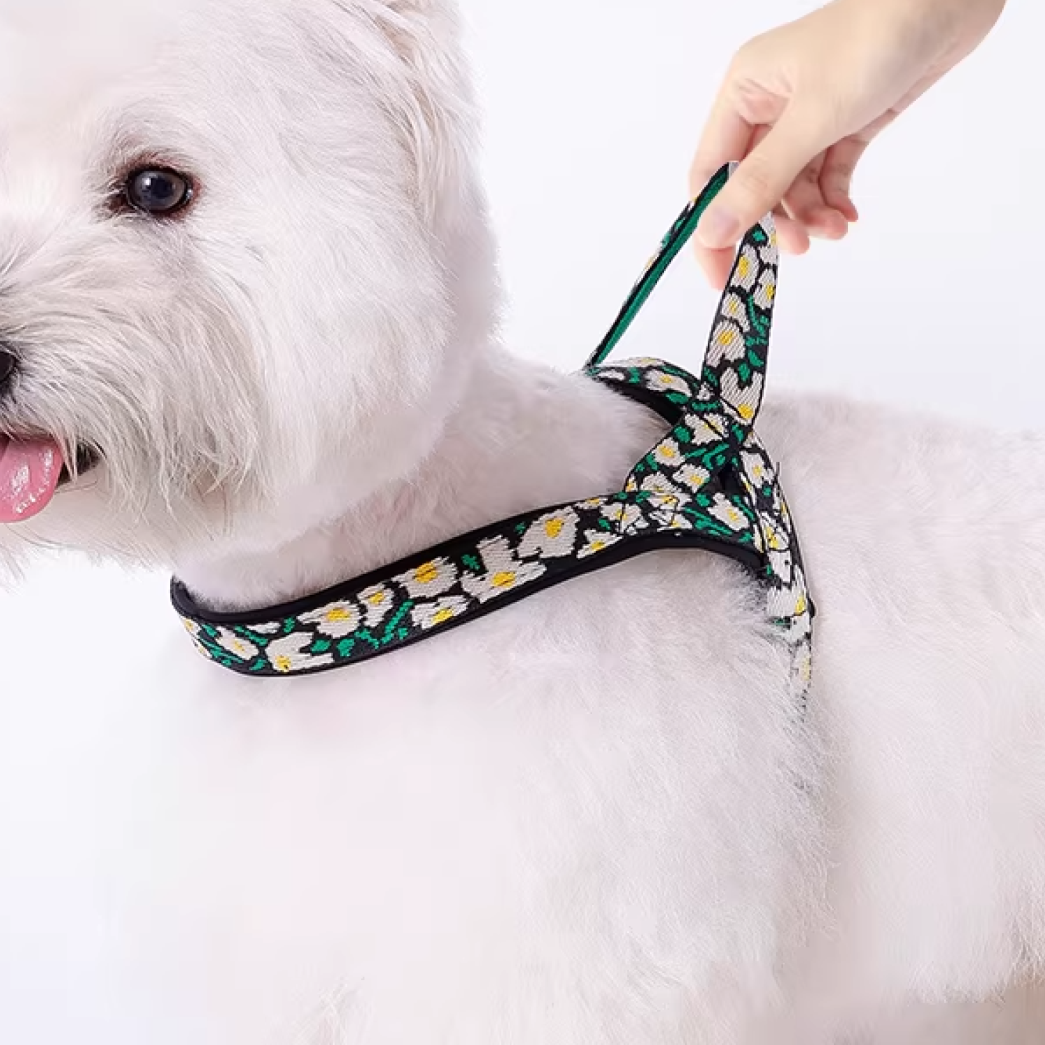 Care for Flower Dog Collar and Leash Sets