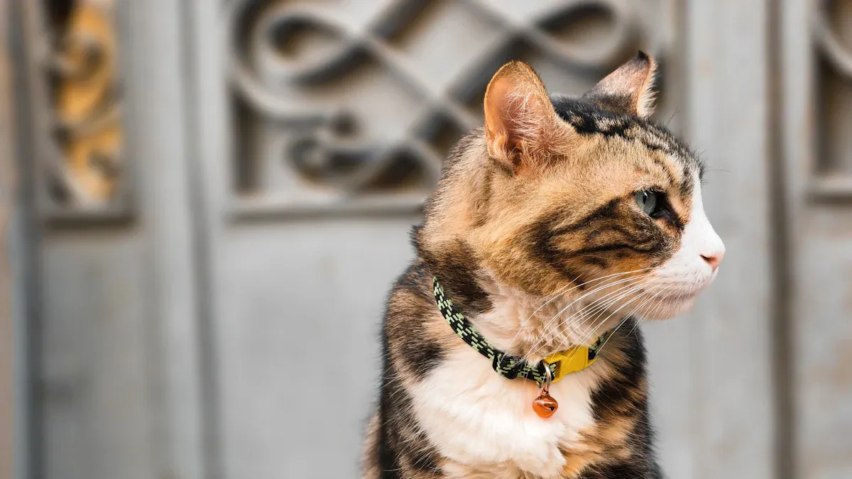 Our Picks for the Best Cat Collars to Buy in 2026