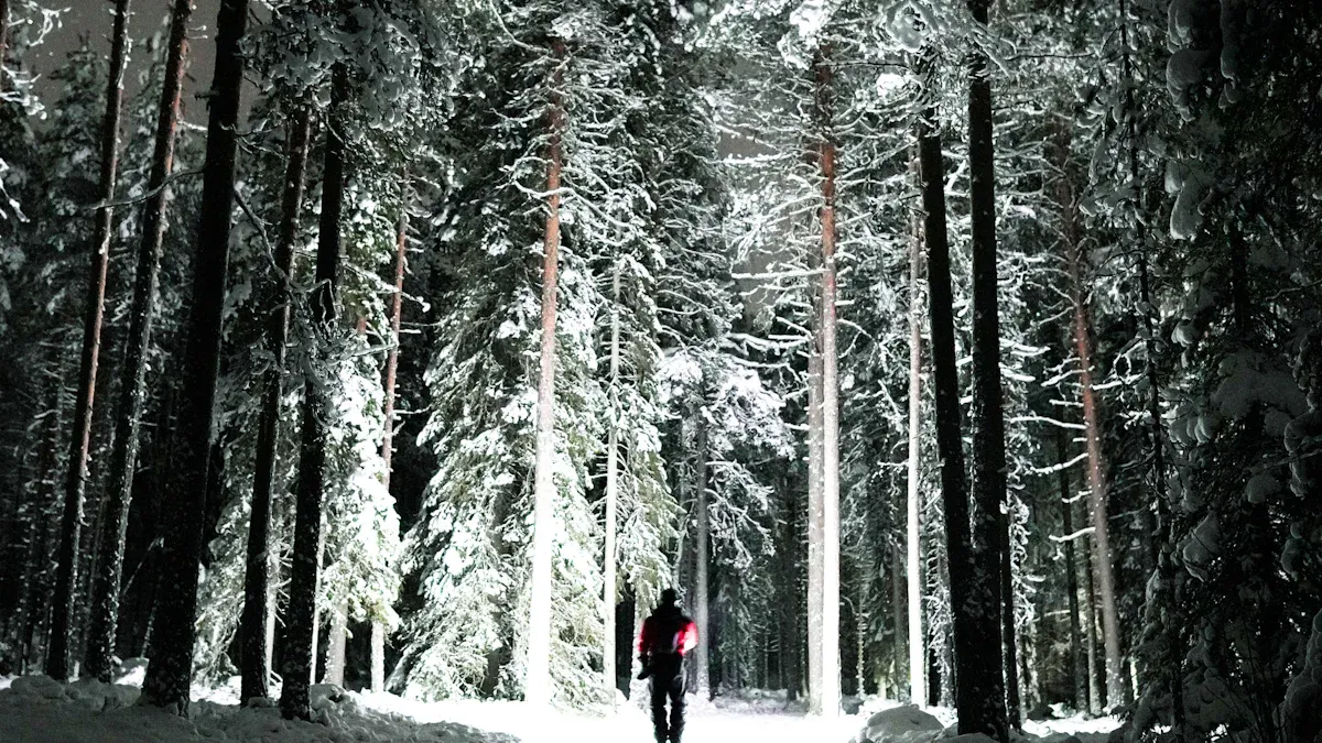 The Ultimate Guide to Using Flashlights in Harsh Conditions
