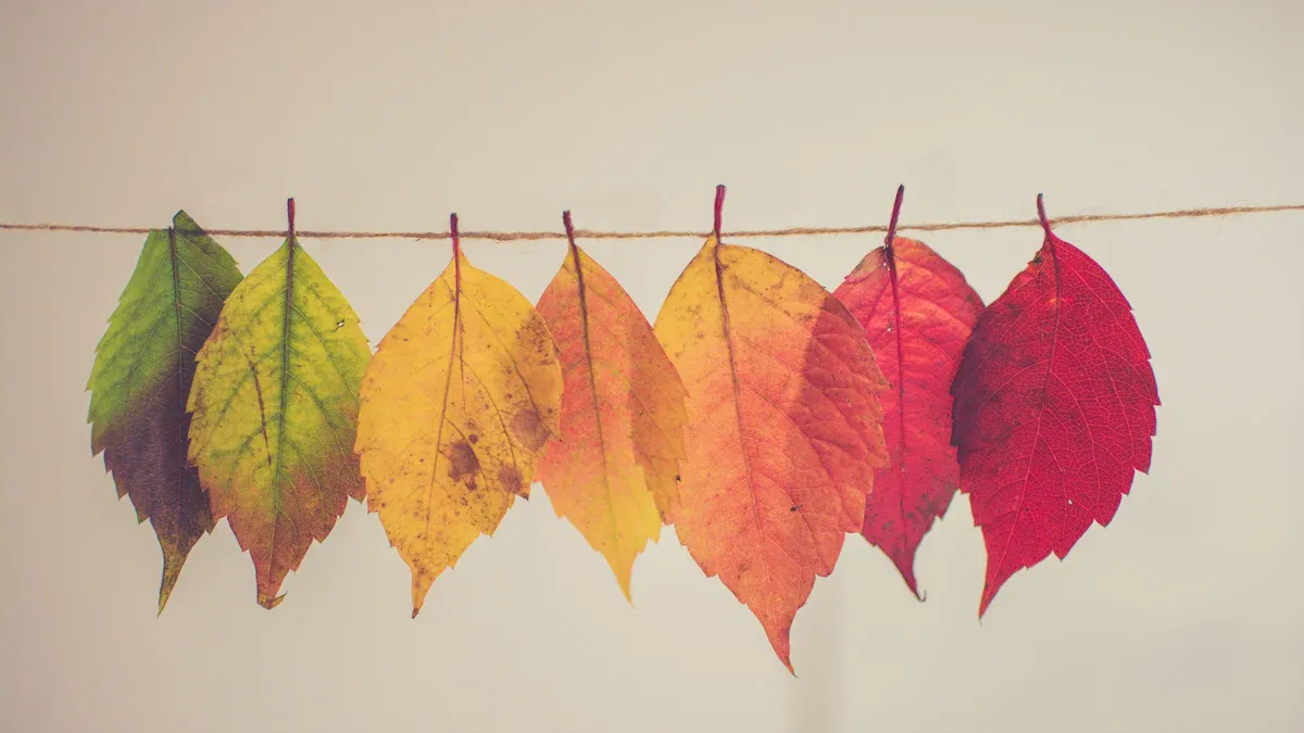 Retail Seasonality Trends