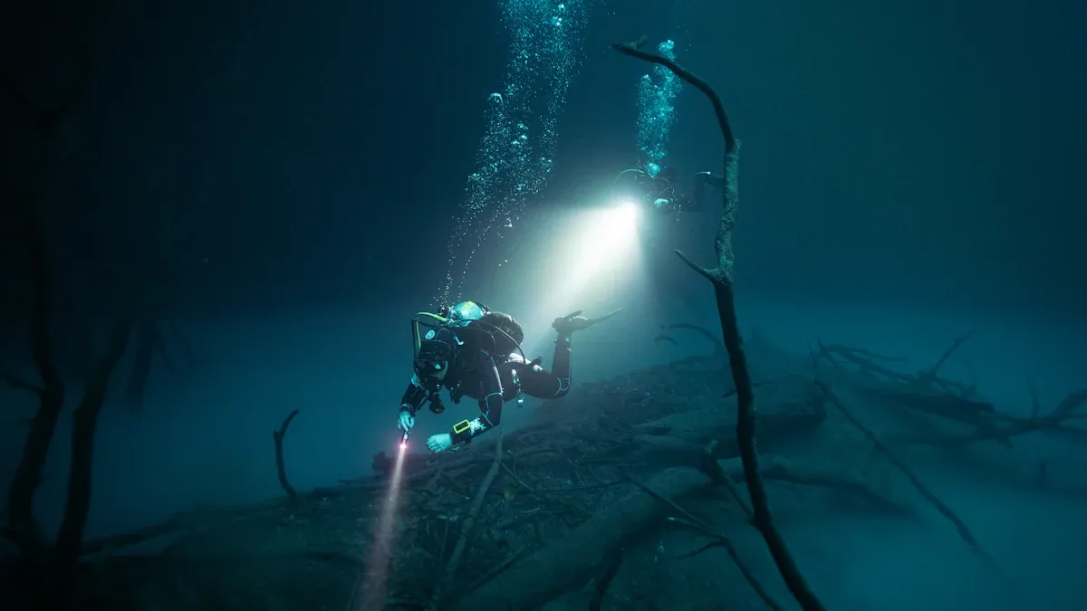 Diving Flashlights in Professional Diving