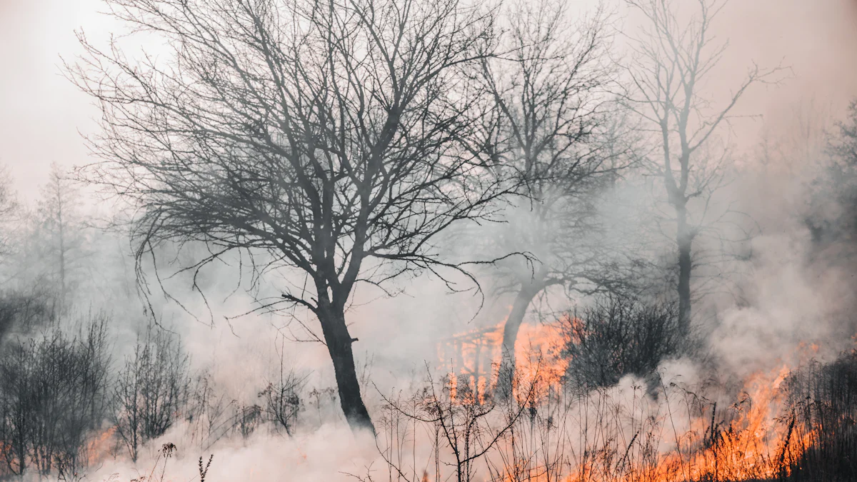 How Flashlights Can Help You Stay Safe During Wildfires and Evacuations