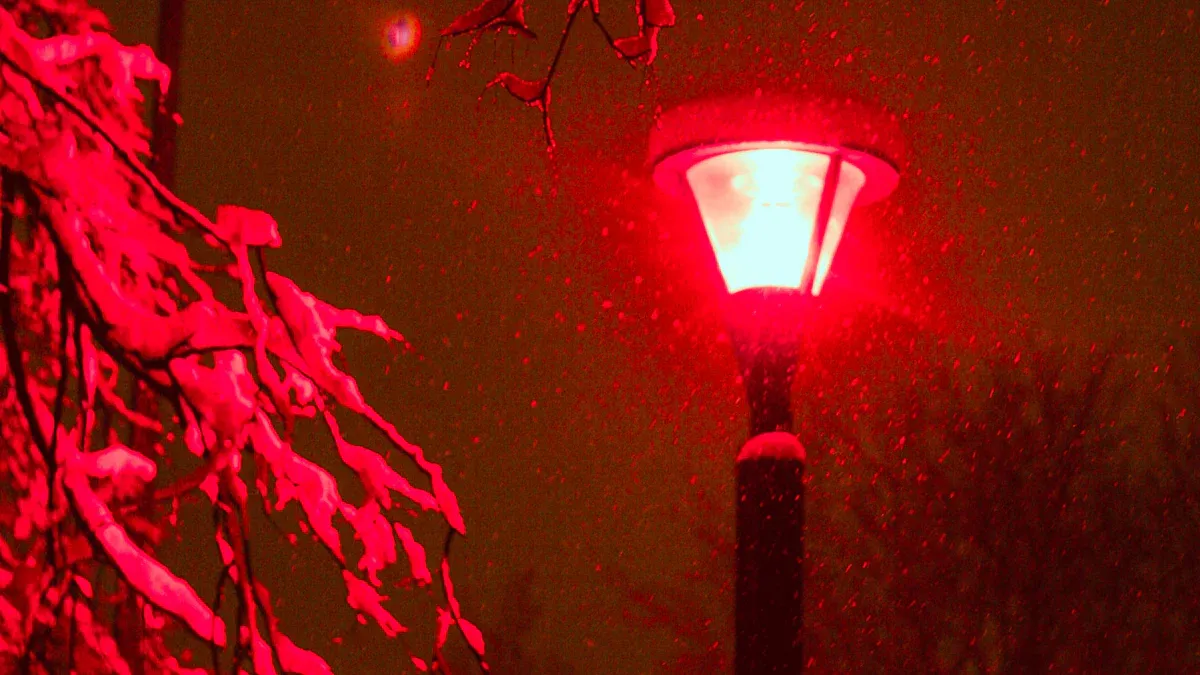 Red Light