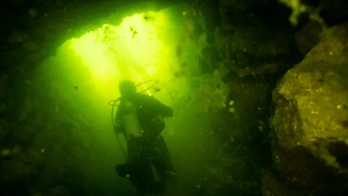 Dive Light for Night Diving