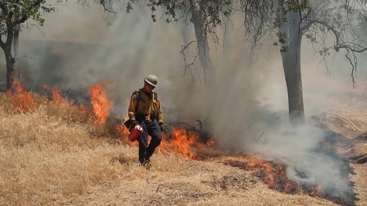 Choosing the Right Flashlight for Wildfire Evacuations