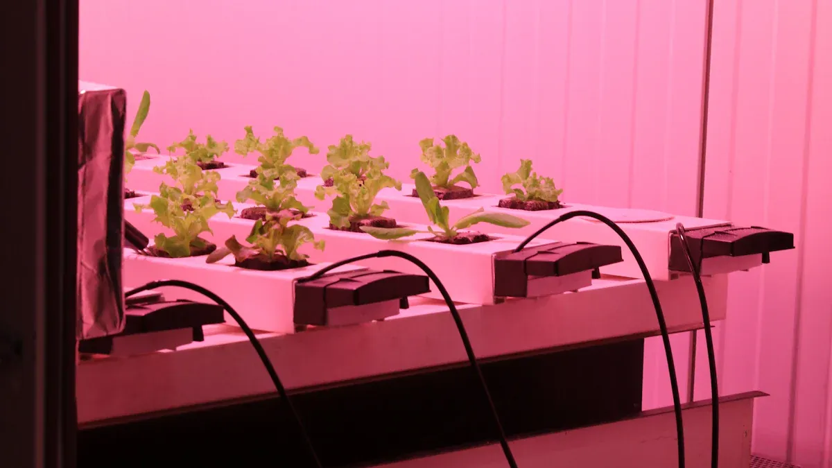 How Far Red LED Grow Light Influences Plant Development