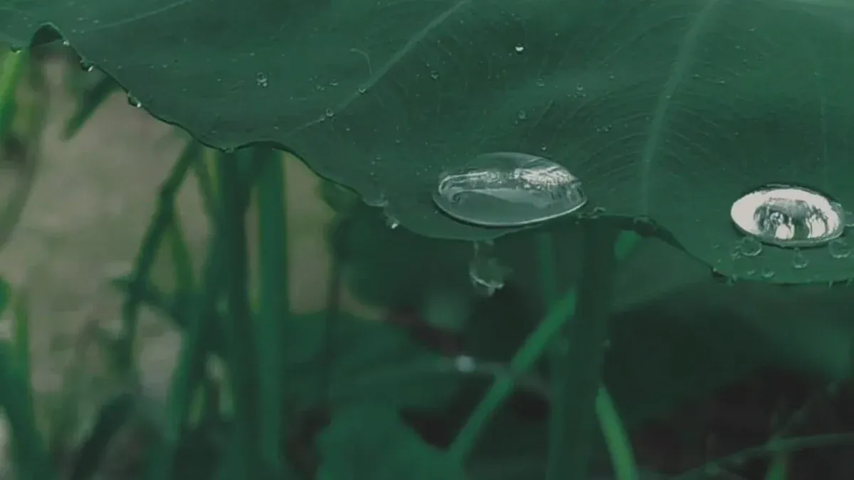 Magnet Coatings Explained