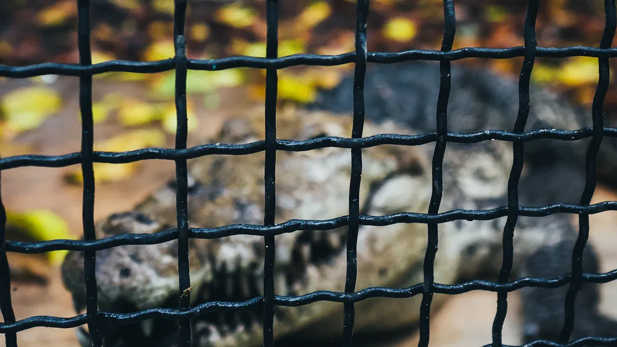 Where Can You Buy Wire Mesh and Save Money