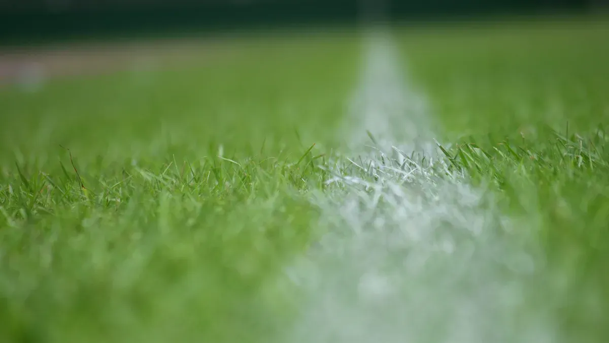 Maintenance of Artificial Turf